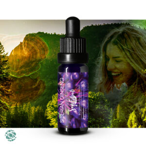 Sage Extracts - Siberian Ginseng