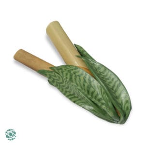Bamboo Kuripe - Saint George's Sword
